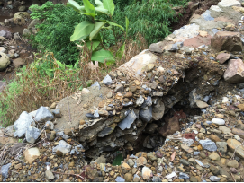 種植技術送下鄉 助力村民早脫貧