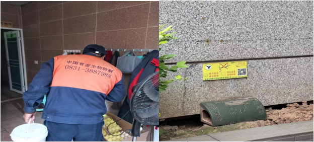 樹文明促健康，綠色環保護家園