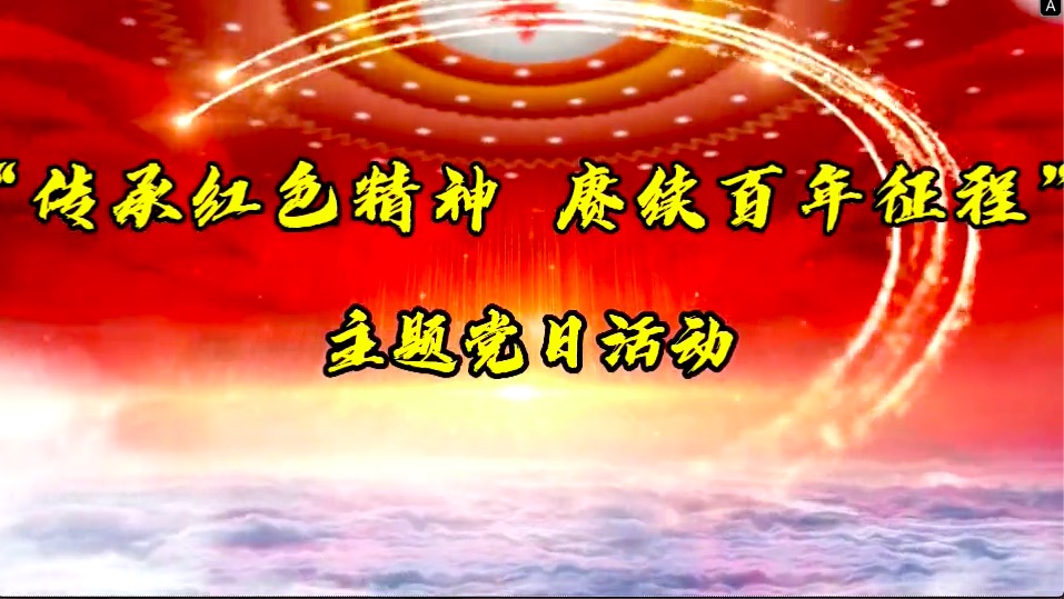 傳承紅色精神，賡續百年征程-共產黨員服務大隊主題黨日活動