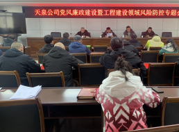 天泉公司召開黨風廉政建設暨工程建設領域風險防控專題會
